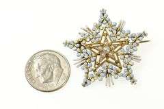 14K Yellow Gold Victorian Seed Pearl Floral Enamel Star Pin/Brooch