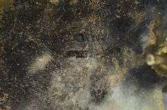 Sterling Silver Native American Carved Turquoise Bear Belt Buckle