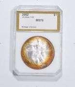 MS70 2002 American Silver Eagle PCI