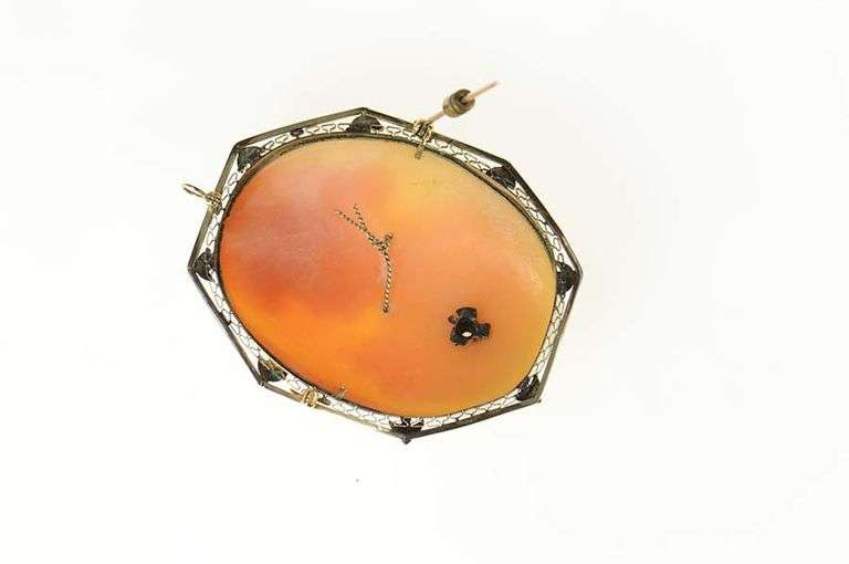 14K Yellow Gold Victorian Diamond Necklace Carved Cameo Pendant/Pin