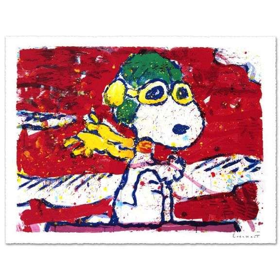 Low Fat Meal Over Santa Monica by Tom Everhart