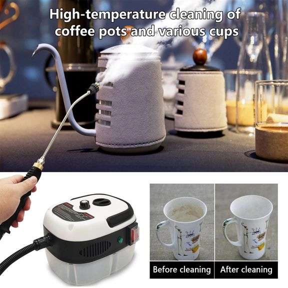 High-Pressure Steam Cleaner