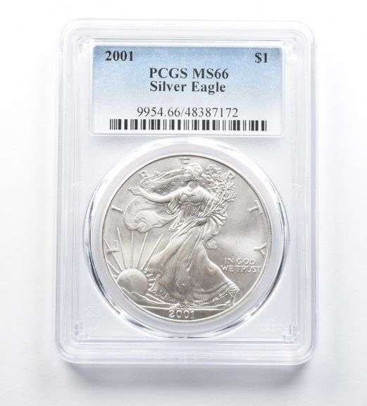 MS66 2001 American Silver Eagle PCGS Peripheral Toning Reverse