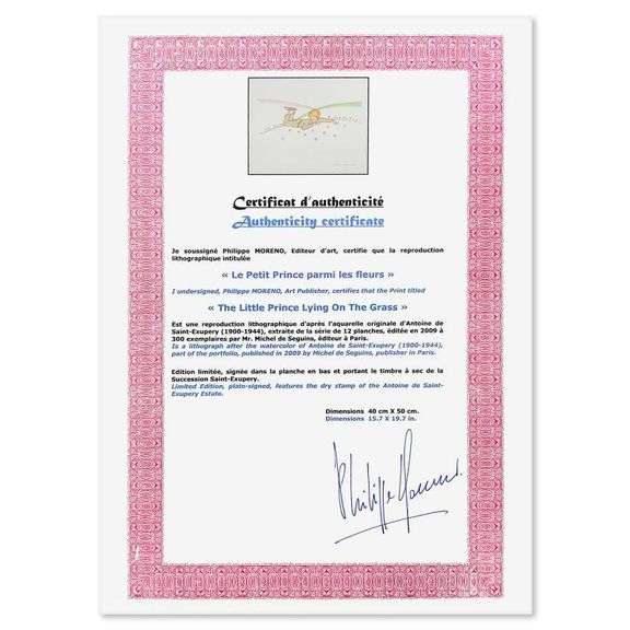 The Little Prince Lying On The Grass by Antoine de Saint-Exupery