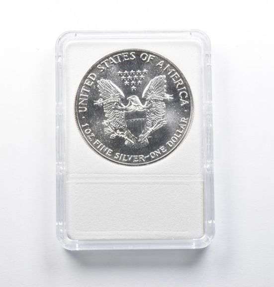 MS70 1989 American Silver Eagle NES