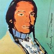 The American Indian Series by Warhol