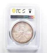 MS66 2010 American Silver Eagle PCGS Beautifully Toned Red/Blue