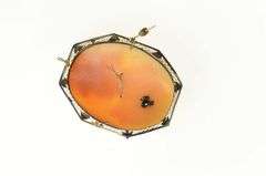 14K Yellow Gold Victorian Diamond Necklace Carved Cameo Pendant/Pin