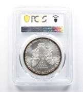 MS66 2001 American Silver Eagle PCGS Peripheral Toning Reverse