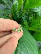 Sterling Silver Gemstone Natural Peridot Ring Size 7