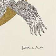 Etude Cercle D'or by Azoulay