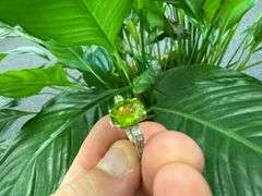 Sterling Silver Natural Gemstone Perdiot Ring Size 8