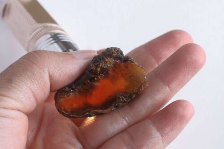 Collecter's Blue Amber Copal rough set