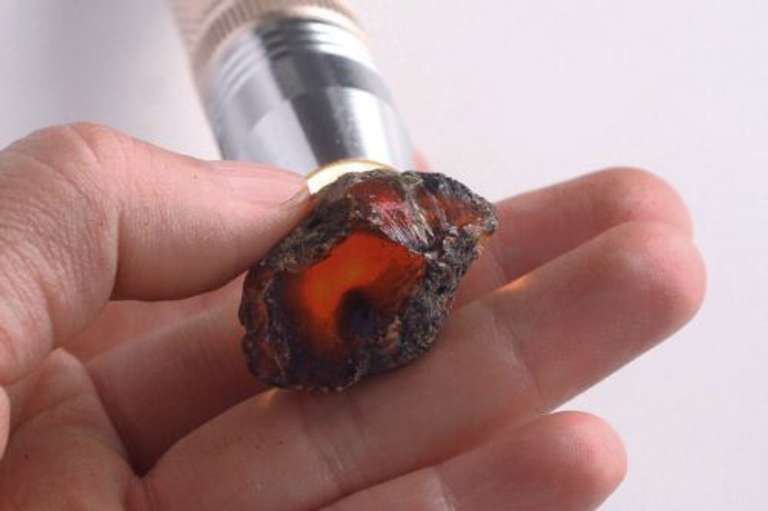 Amazing 68ct Blue Amber Copal rough set