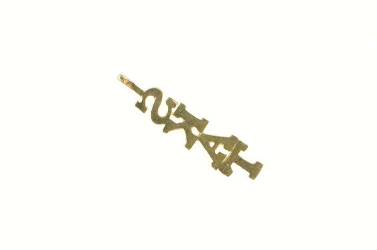 14K Yellow Gold Skat Word Cut Out Letter Charm/Pendant
