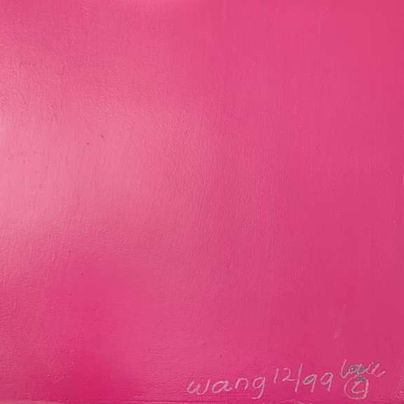 Homer (Pink) by Wang