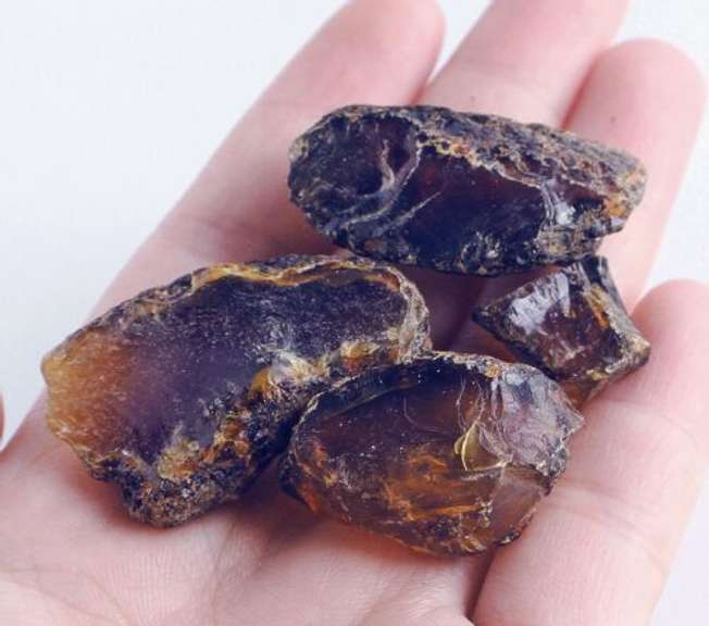 Collecter's Blue Amber Copal rough set
