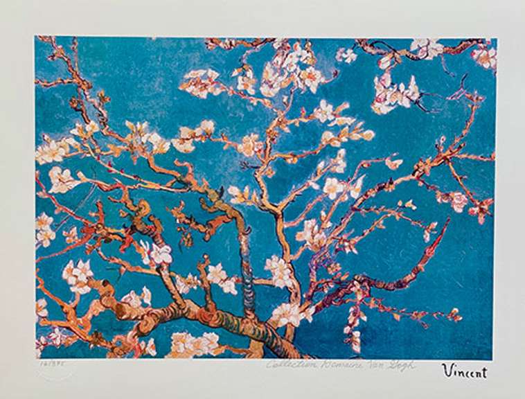 Collectible Limited Edition Vincent Van Gogh, Almond Blossoms