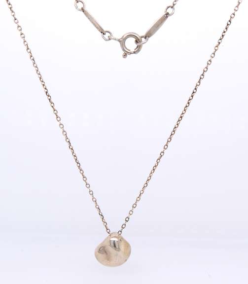 Tiffany & Co Elsa Peretti Pendant on Chain