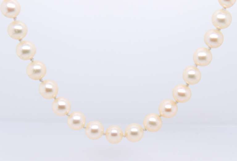 Simple Fresh Water Pearl Necklace