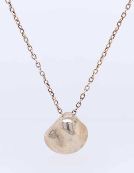 Tiffany & Co Elsa Peretti Pendant on Chain