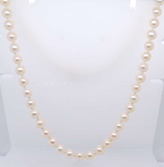 Simple Fresh Water Pearl Necklace