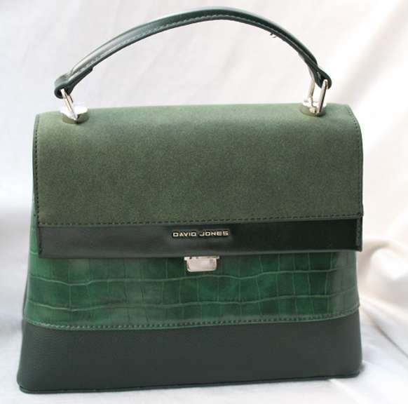 Stylish Designer Bag By David Jones-Paris