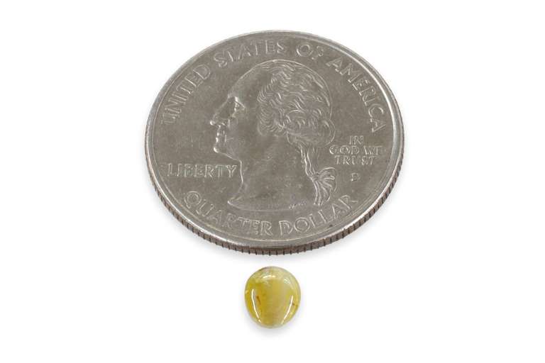Rare Cat's-Eye Chrysoberyl Cabochon
