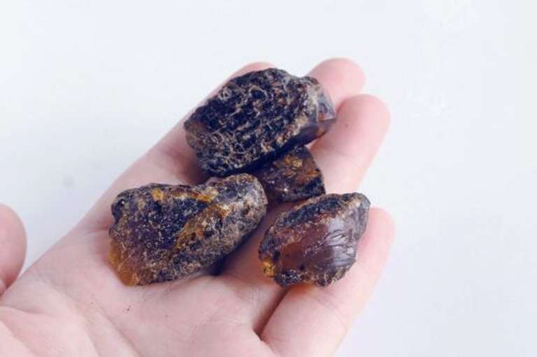 Collecter's Blue Amber Copal rough set