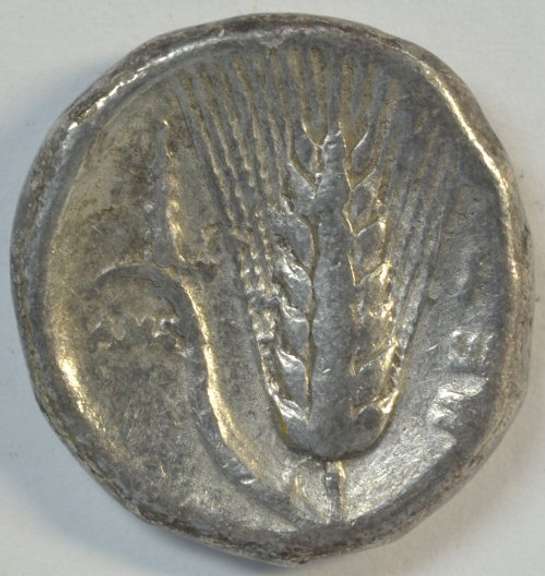 Scarce Lucania, Metapontion Greek Silver Stater, 350-330 BC