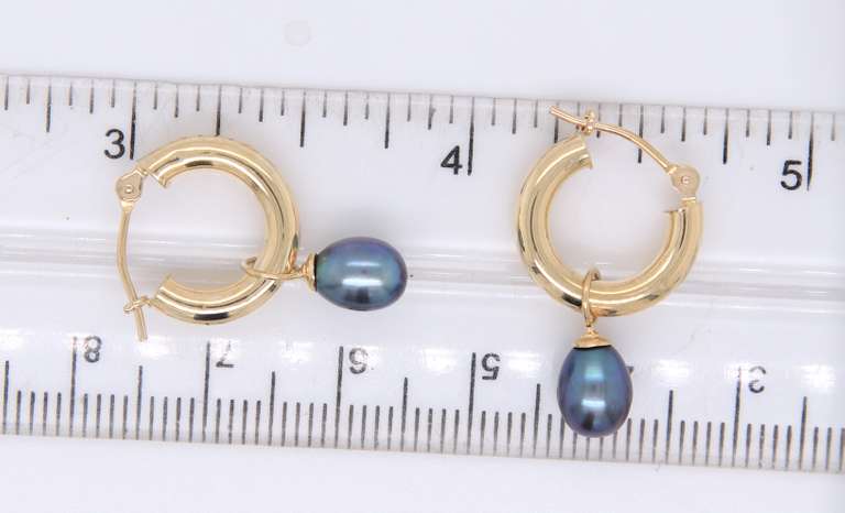 Elegant Black Fresh Water Pearl Tube Hoop Earrings