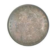 1900 Morgan Silver Dollar - Toned