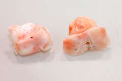 Hand-carved Natural Coral Roses - 9 grams