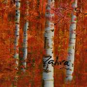 Untitled by Zahra Original