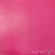 Homer (Pink) by Wang