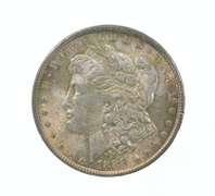 1888 Morgan Silver Dollar - Great Tone