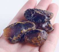 Collecter's Blue Amber Copal rough set