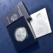 2008 Burnished Silver Eagle In OGP