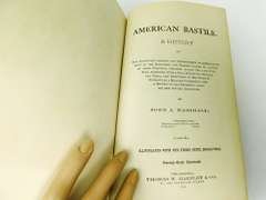 1884 American Bastille Antique Book