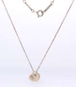 Tiffany & Co Elsa Peretti Pendant on Chain