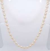 Simple Fresh Water Pearl Necklace