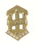 10K Yellow Gold Alpha Delta Kappa Seed Pearl Pillar Lapel Pin/Brooch