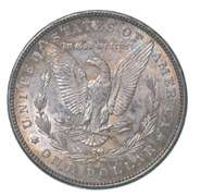 1884 Morgan Silver Dollar - Great Tone