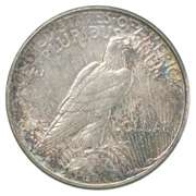 1923-D Peace Silver Dollar- Great Color/Tone