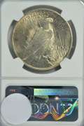 Virtual Gem BU 1924 Peace Silver Dollar. NGC MS64