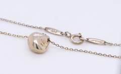 Tiffany & Co Elsa Peretti Pendant on Chain