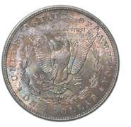 1884 Morgan Silver Dollar Toned Great Color!
