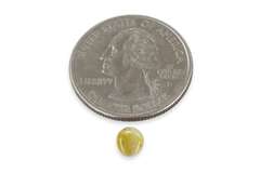 Rare Cat's-Eye Chrysoberyl Cabochon