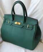 New Arrival Green Color Hand Bag By David Jones