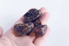 Collecter's Blue Amber Copal rough set